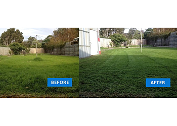 Lawn Love Lawn Care of Atlanta - Atlanta, GA Lawn Care Services - Service Image