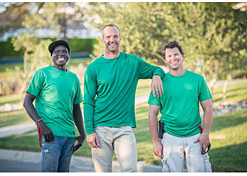 Newark Lawn Care Services Lawn Love Lawn Care of Newark