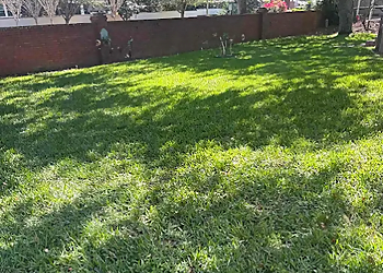 Orlando Lawn Care Services Lawn Love Orlando