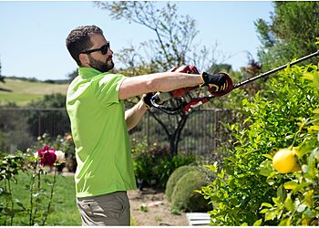 Chicago Lawn Care Services Lawn Love of Chicago