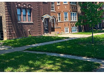 Lawn Love of Chicago Chicago Lawn Care Services image 1
