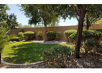 Gilbert Lawn Care Services Lawn Maintenance Pros