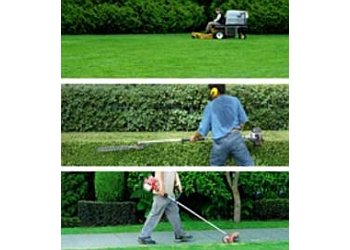 3 Best Lawn Care Services in Cape Coral, FL - Expert Recommendations