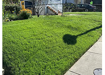 Baltimore Lawn Care Services LawnStarter