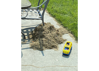 Baltimore Lawn Care Services LawnStarter