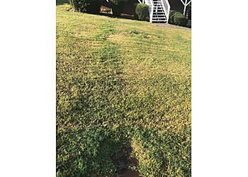 Birmingham Lawn Care Services LawnStarter