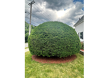 Boston Lawn Care Services LawnStarter