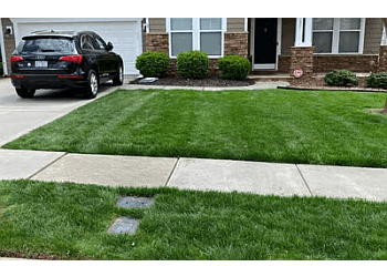 LawnStarter New Orleans Lawn Care Services