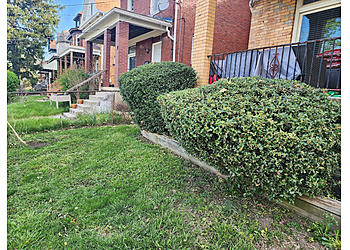 Pittsburgh Lawn Care Services LawnStarter