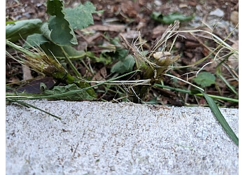 Portland Lawn Care Services LawnStarter