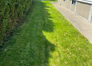 Providence Lawn Care Services LawnStarter