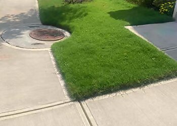 Atlanta Lawn Care Services LawnStarter Atlanta