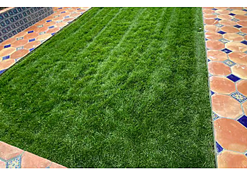Berkeley Lawn Care Services LawnStarter Lawn Care Service
