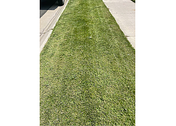 Denver Landscaping Companies LawnStarter Lawn Care Service