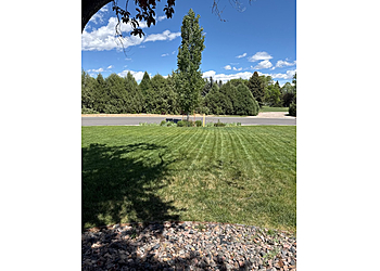 Denver Landscaping Companies LawnStarter Lawn Care Service