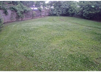 LawnStarter - Memphis, TN Lawn Care Services - Job Site Image