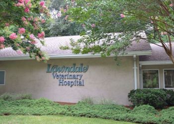 Greensboro veterinary clinic Lawndale Veterinary Hospital