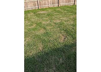 Chicago Lawn Care Services Lawnstarter