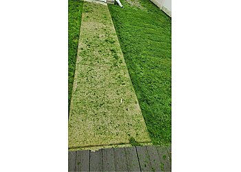 Chicago Lawn Care Services Lawnstarter