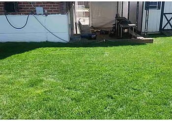 Lawnstarter Philadelphia Lawn Care Services image 1