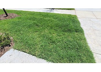 Dallas Lawn Care Services Lawnstarter Inc.