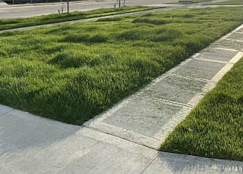 LawnStarter - Detroit, MI Lawn Care Services - Service Image