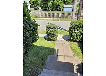 Houston Lawn Care Services Lawnstarter Inc.