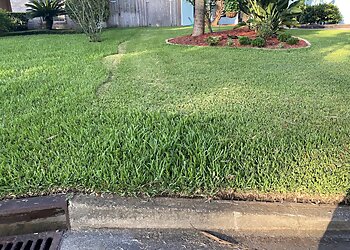Jacksonville Lawn Care Services Lawnstarter Inc.,