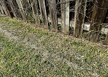 Jacksonville Lawn Care Services Lawnstarter Inc.,