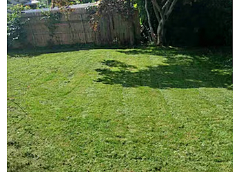 New Haven Lawn Care Services Lawnstarter Inc.
