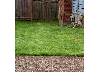Seattle Lawn Care Services Lawnstarter Inc.
