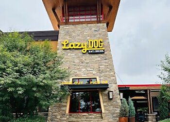 Corona American Restaurants Lazy Dog Restaurant & Bar