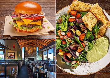 Aurora American Restaurants Lazy Dog Restaurant & Bar Aurora