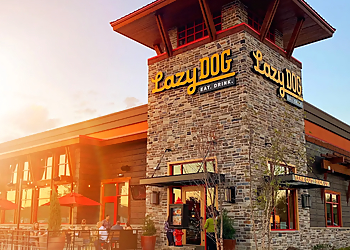 Irvine American Restaurants Lazy Dog Restaurant & Bar Irvine