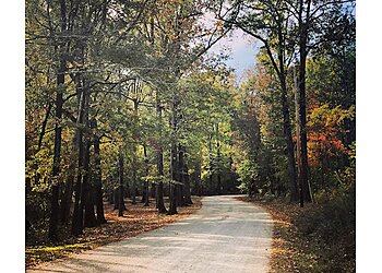 Jackson Hiking Trails LeFleur's Bluff State Park