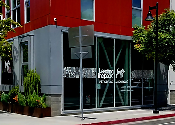 Leading the Pack Pet Salon  Oakland Pet Grooming image 1