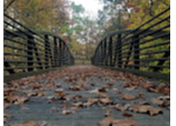 Leakin Park - Baltimore, MD Hiking Trails