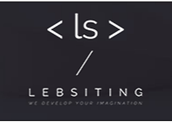 Lebsiting Dearborn Web Designers image 1