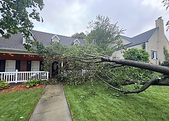 Lee's Tree Services - High Point, NC Tree Services - Field Work Image