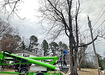 Lee's Tree Services - High Point, NC Tree Services - Service Image