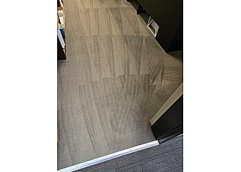 Toledo Carpet Cleaners Legendary Carpet Care+