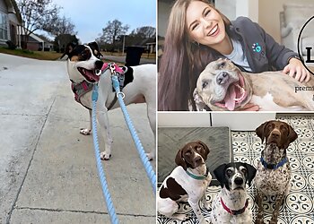 Baton Rouge Dog Walkers Lend A Paw LLC