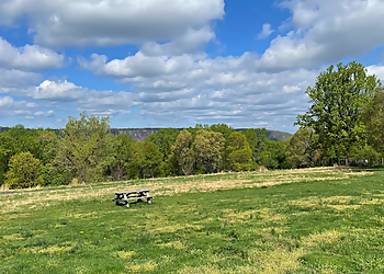 Yonkers Hiking Trails Lenoir Preserve