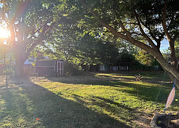 Philadelphia Tree Services Leo's Tree Care