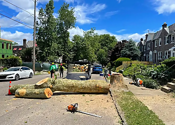 Philadelphia Tree Services Leo's Tree Care