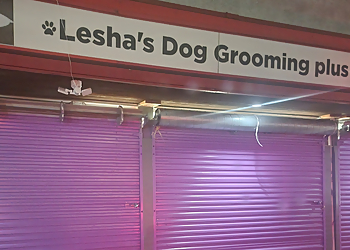 Lesha's Dog Grooming Tacoma Pet Grooming image 1