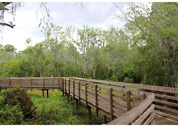 3 Best Hiking Trails in Tampa, FL - Expert Recommendations