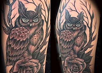 Leviticus Tattoo and Body Piercing Minneapolis Tattoo Shops image 1