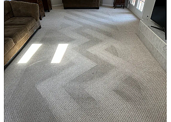 Lewis Cleaners South - Sunnyvale, CA Carpet Cleaners - Service Highlights