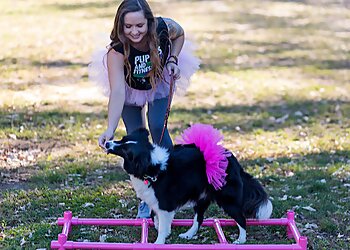 Washington Dog Training LianaFit Canine Conditioning